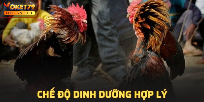 Đảm bảo nguồn dinh dưỡng hợp lý, phát triển