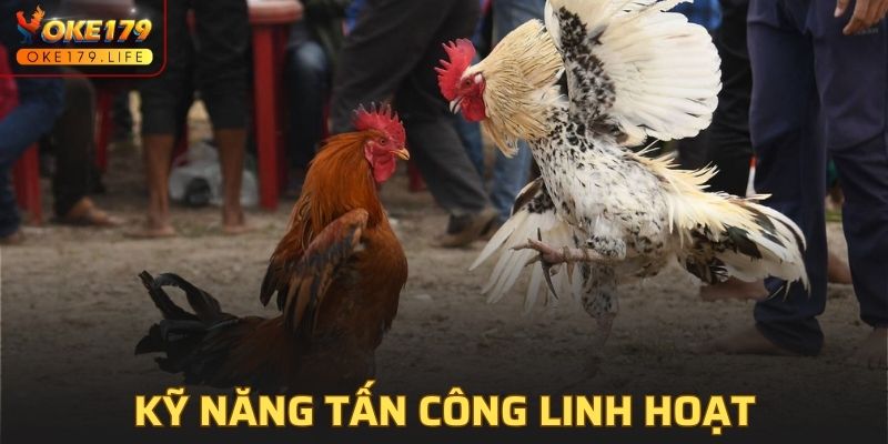 Kỹ năng tấn công linh hoạt