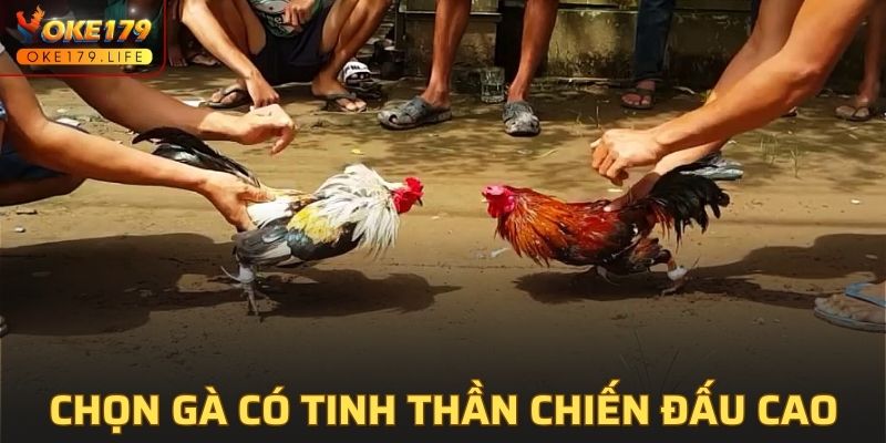 Lựa chọn dựa trên tinh thần thi đấu
