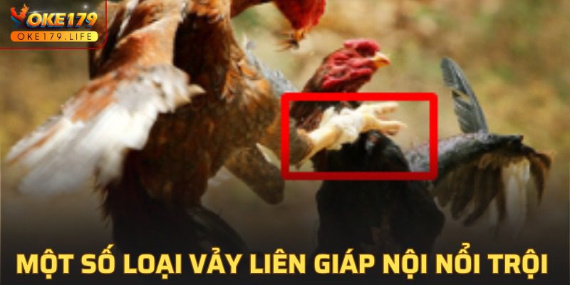 Tổng hợp một số liên giáp nội ấn tượng ở OKE179