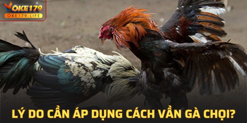 Ý nghĩa của việc áp dụng phương pháp vần gà